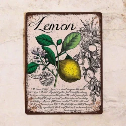 Placas para la cocina