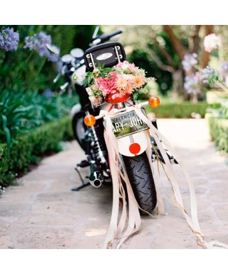 Placa de Valencia personalizada 