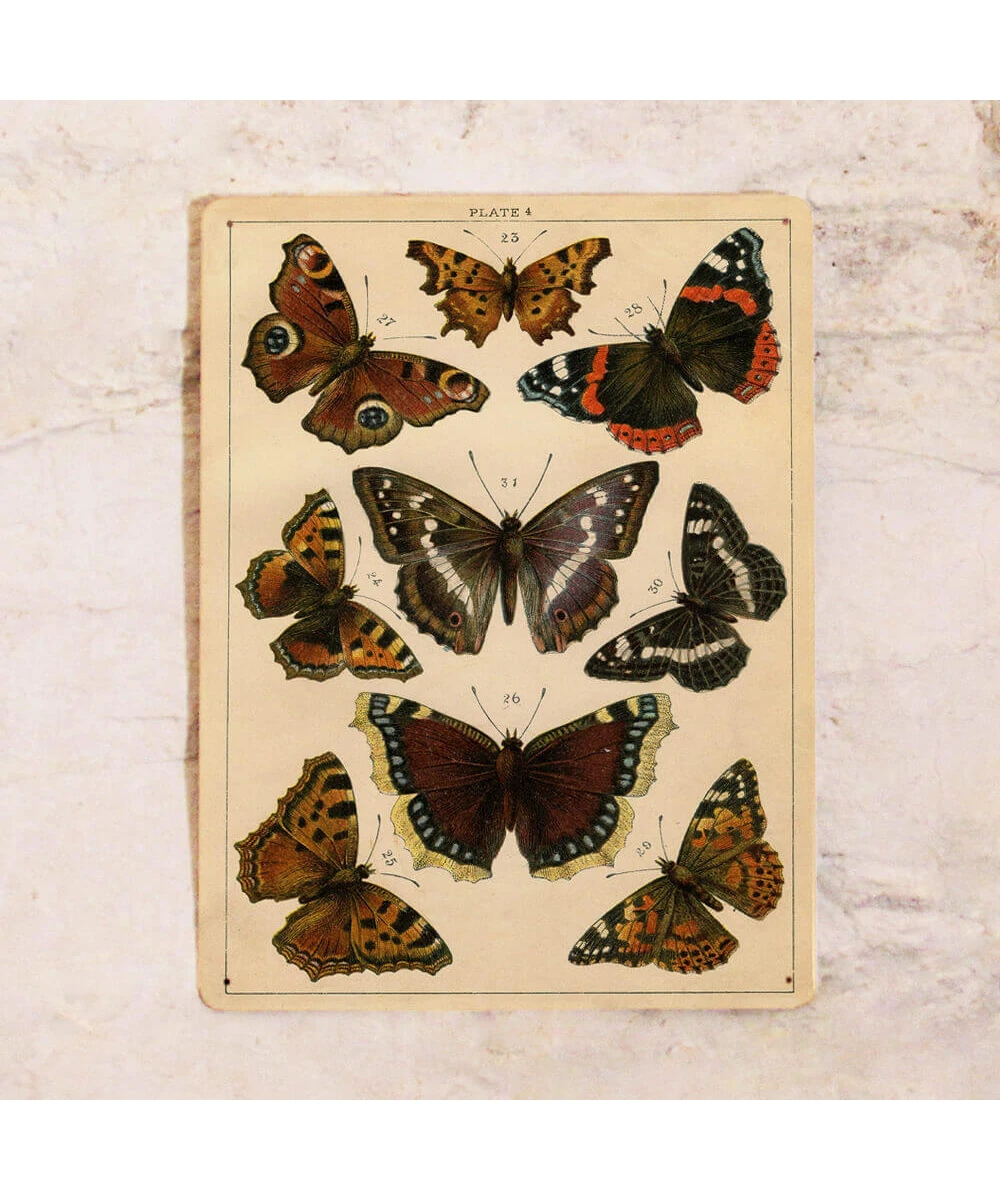 Chapa metálica retro para cocina Mariposas vintage