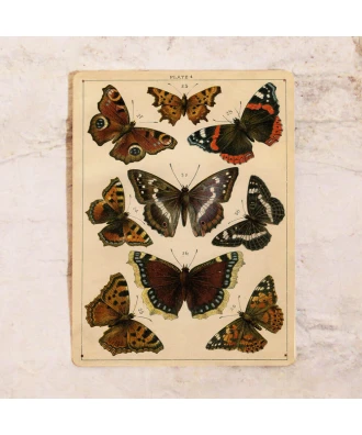 Chapa metálica retro para cocina Mariposas vintage
