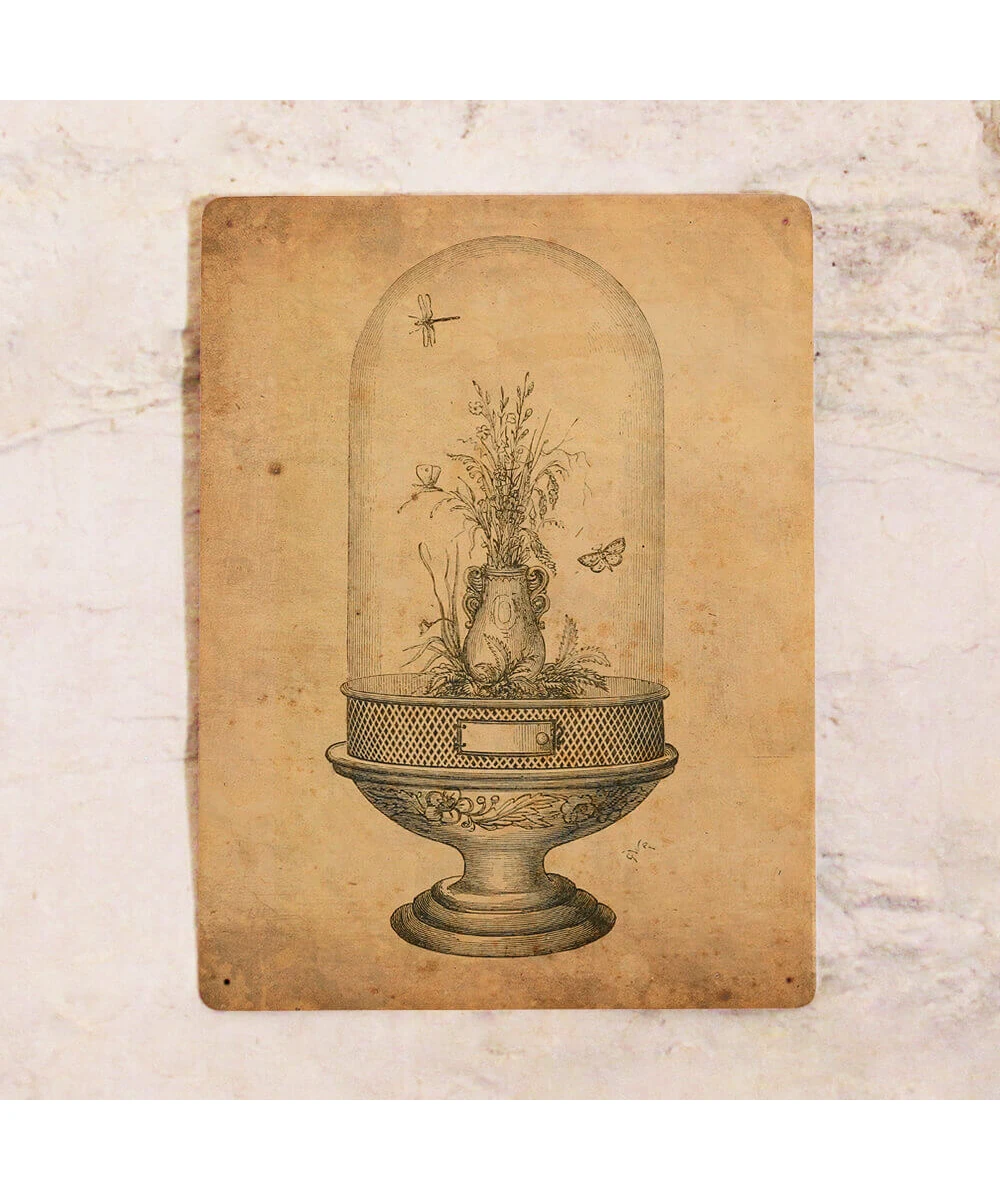 Жестяная табличка Фрукты