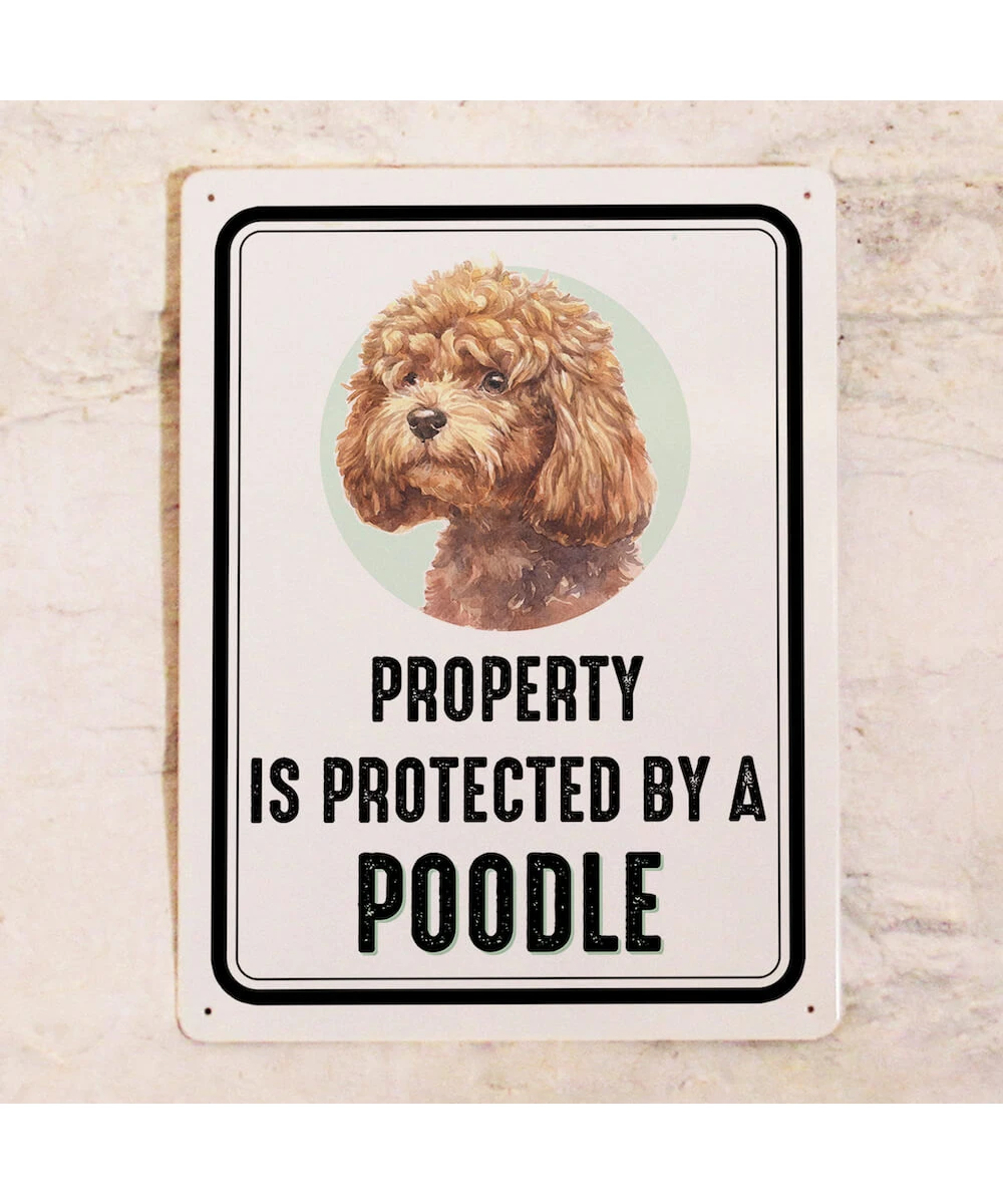 Cartel metálico con el perro - Propiedad está protegida por un Caniche