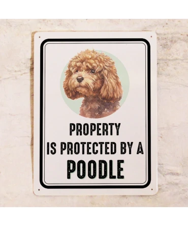 Propiedad está protegida por un Caniche