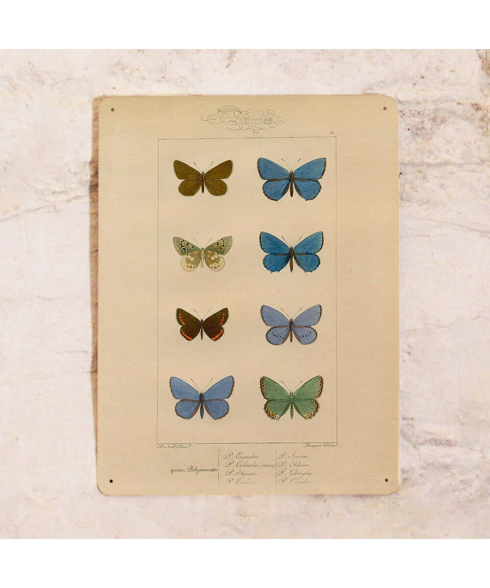 Vintage kitchen Sign Butterflies