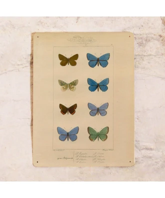 Vintage kitchen Sign Butterflies